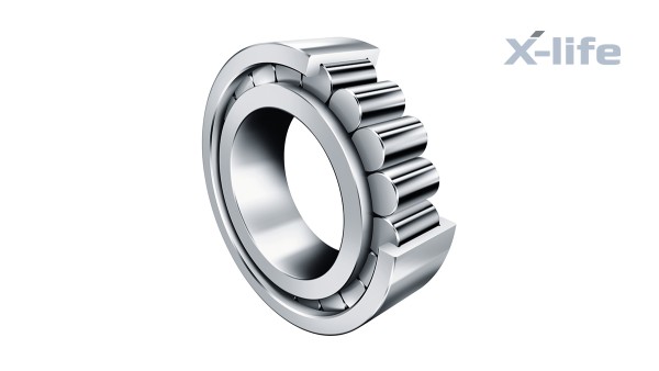 Schaeffler gördülőcsapágyak és siklócsapágyak: Telegörgős hengergörgős csapágyak